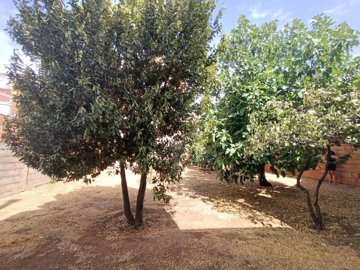 Vivienda Rural Los Iberos M&M, Castellar de Santisteban Eksteriør bilde